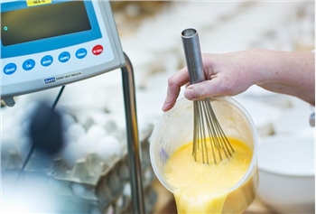 The use method of plastic fluorescent whitening agent