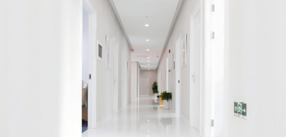 Purification color steel plate & Pre-Painted ​Galvanized ​(PPGI)Steel  & Pre-Painted ​Galvalume (PPGL) Steel