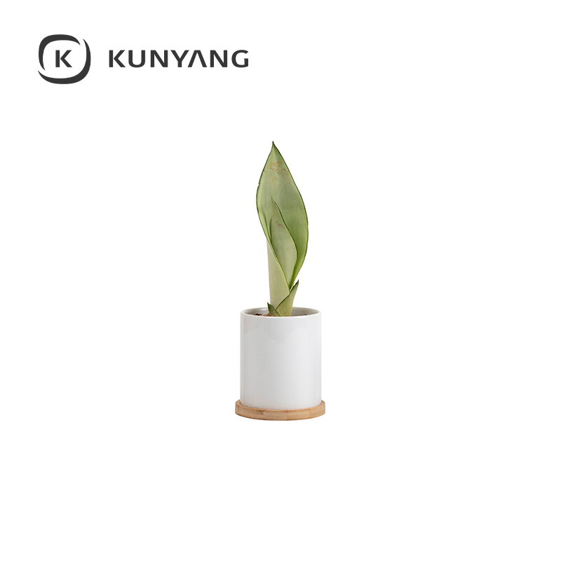 Ceramic Flowerpot w/Bamboo Base