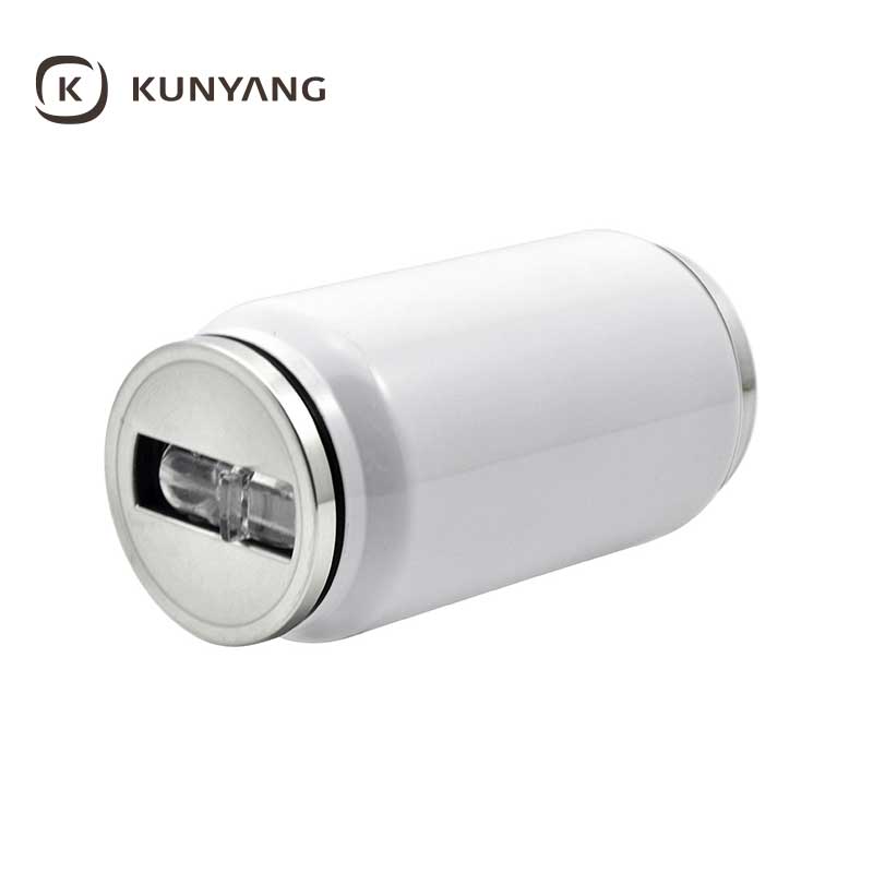 10oz Double Wall Stainless Can With Straw