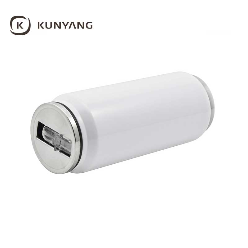 12oz Double Wall Stainless Can With Straw