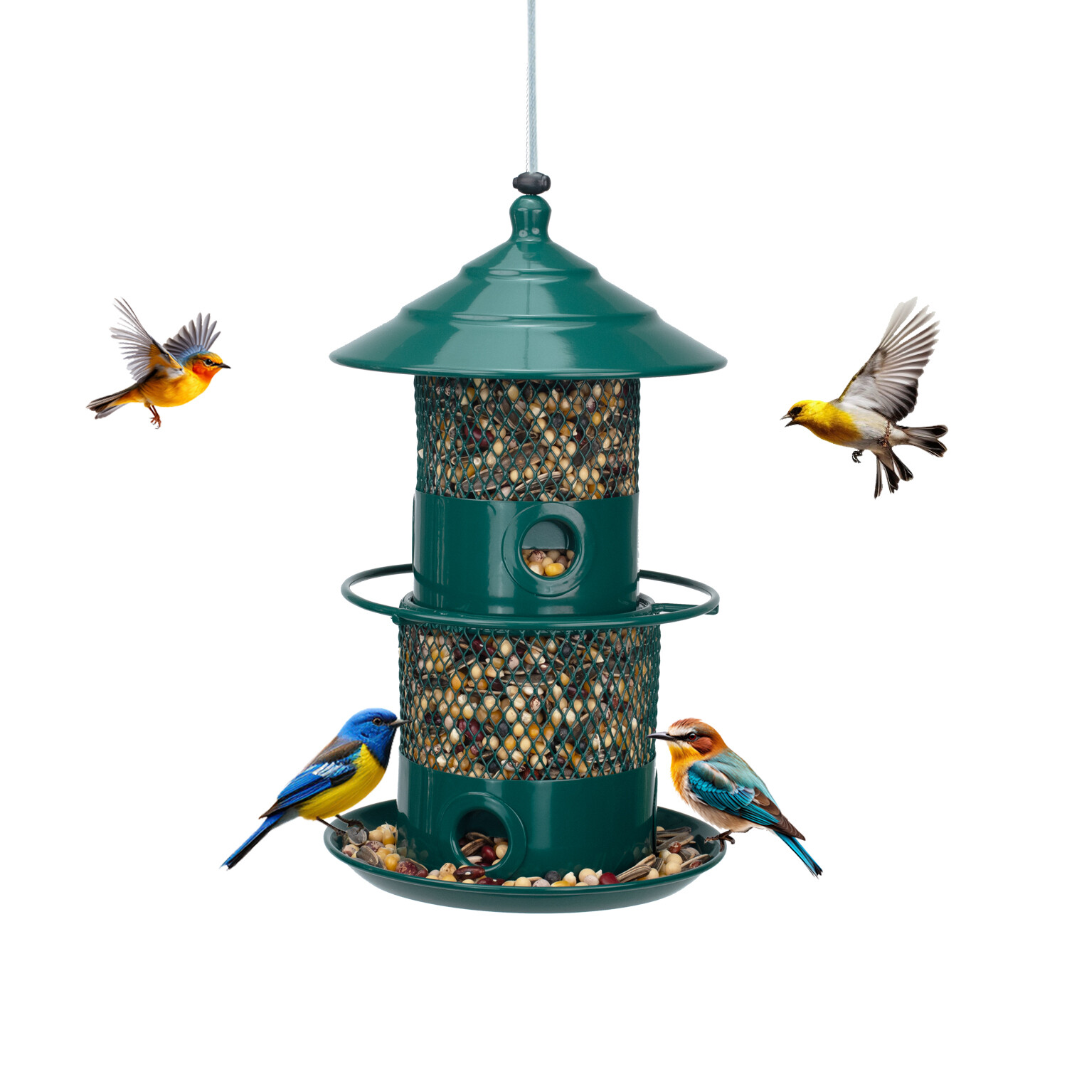 Pitoutfir lighthouse is dark green