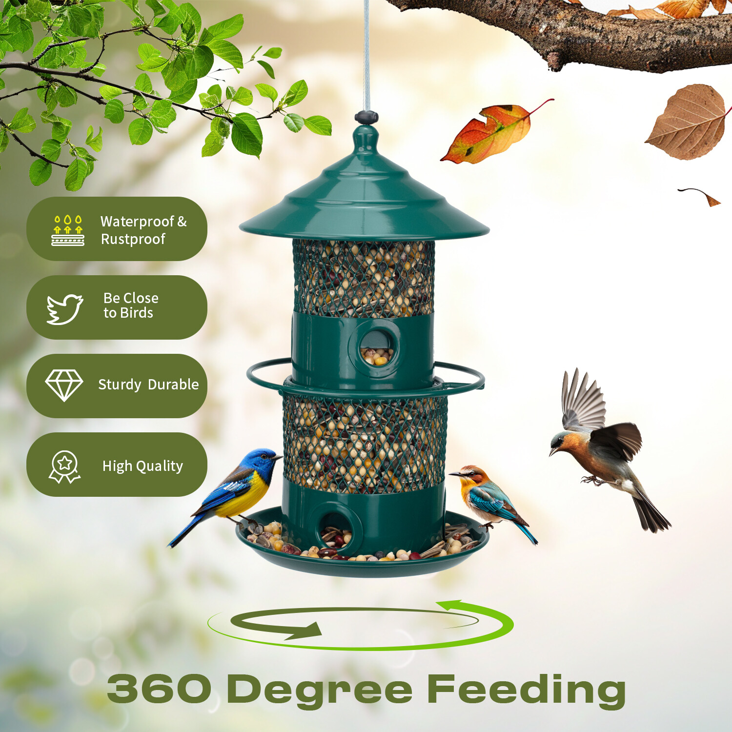 Pitoutfir lighthouse is dark green