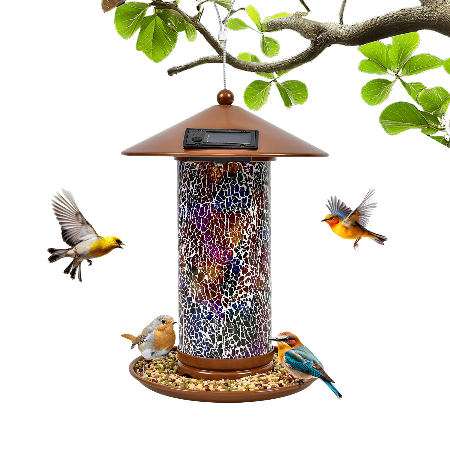 Z Shop solar bird feeder