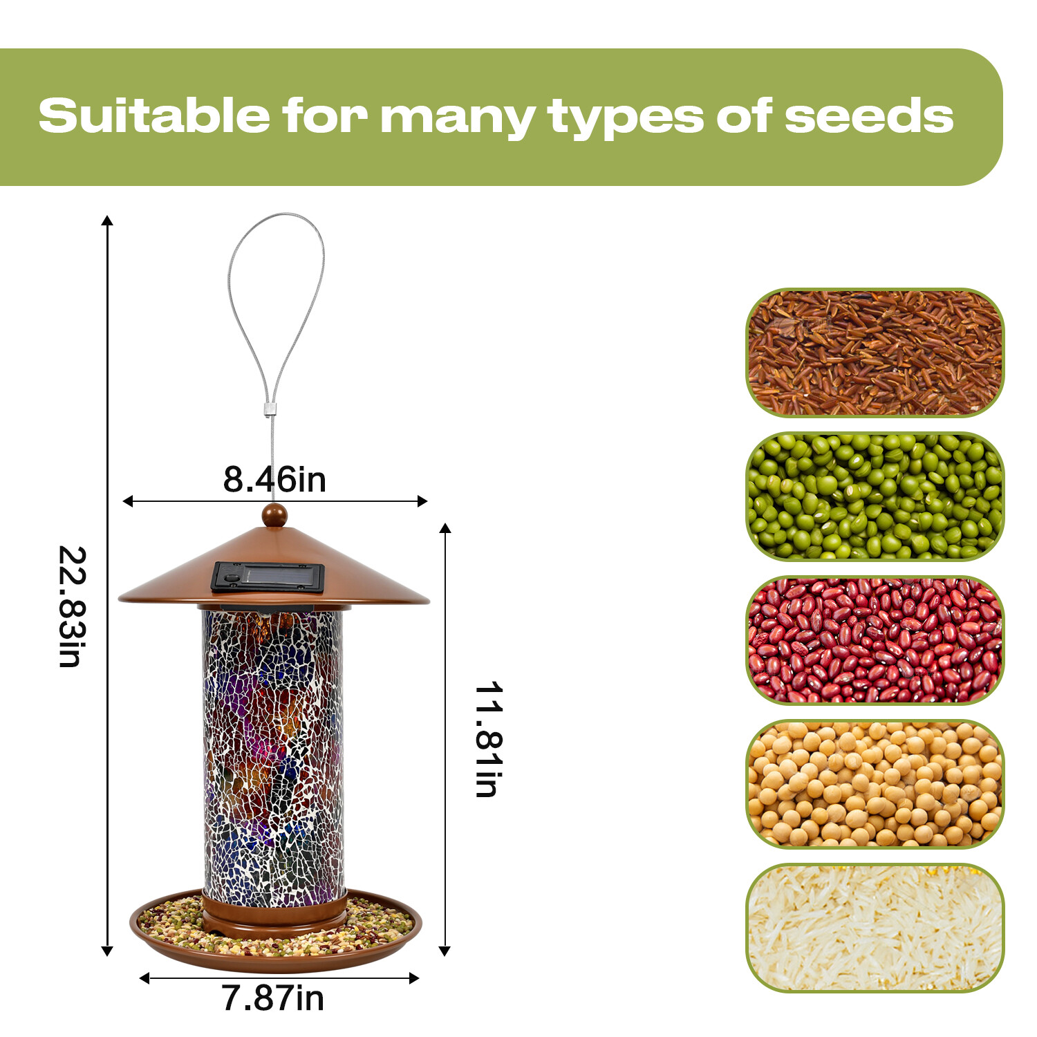 Z Shop solar bird feeder