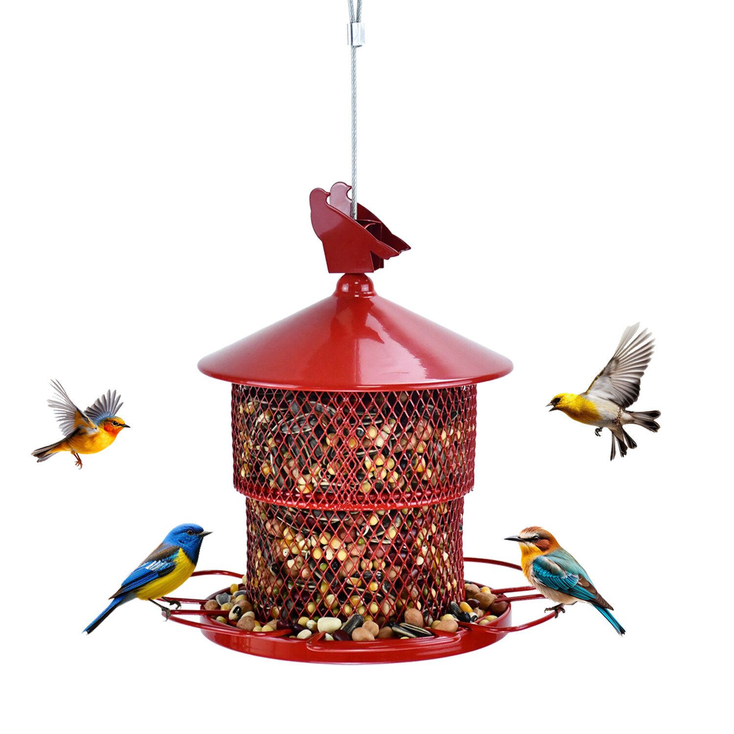 Large red bird feeder