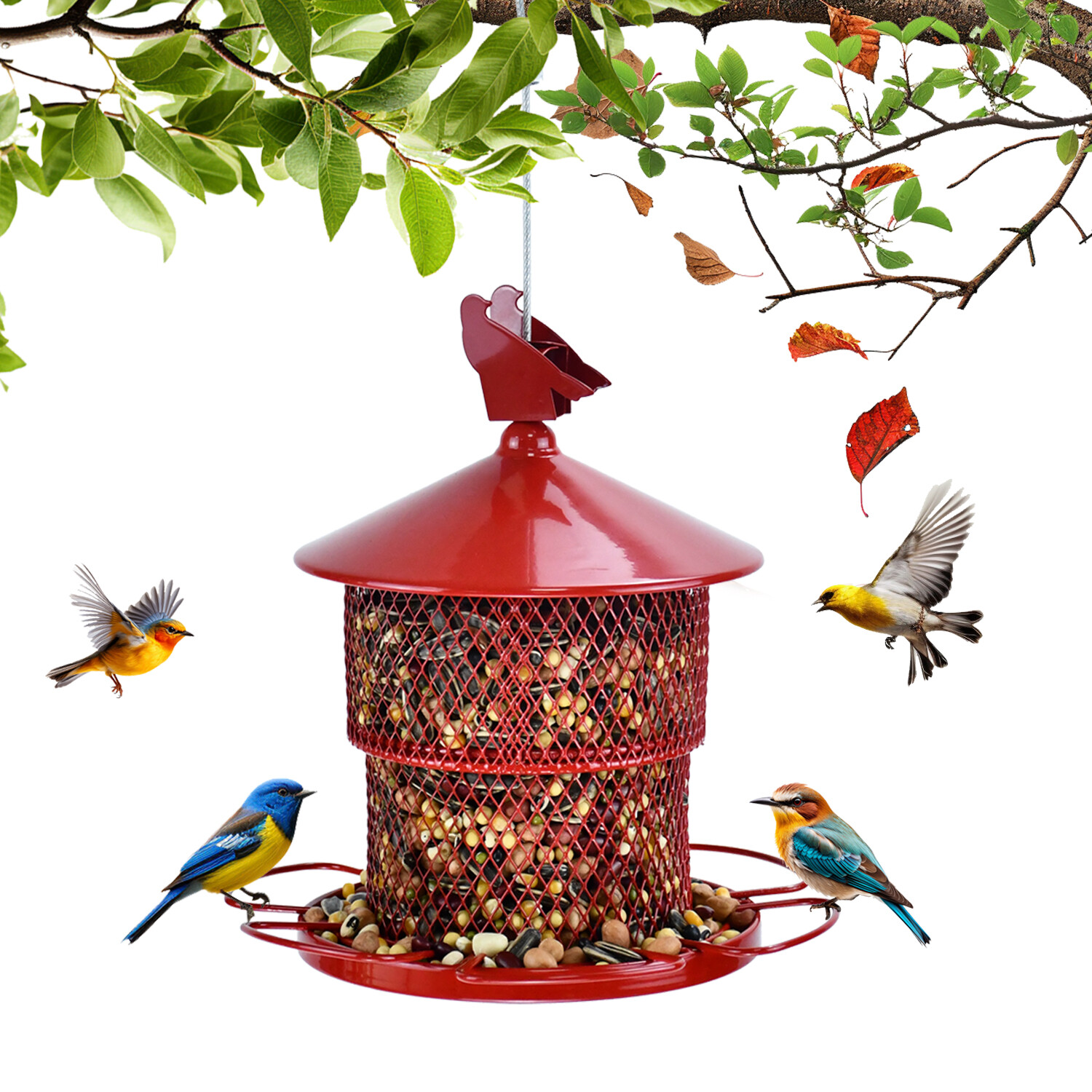 Large red bird feeder