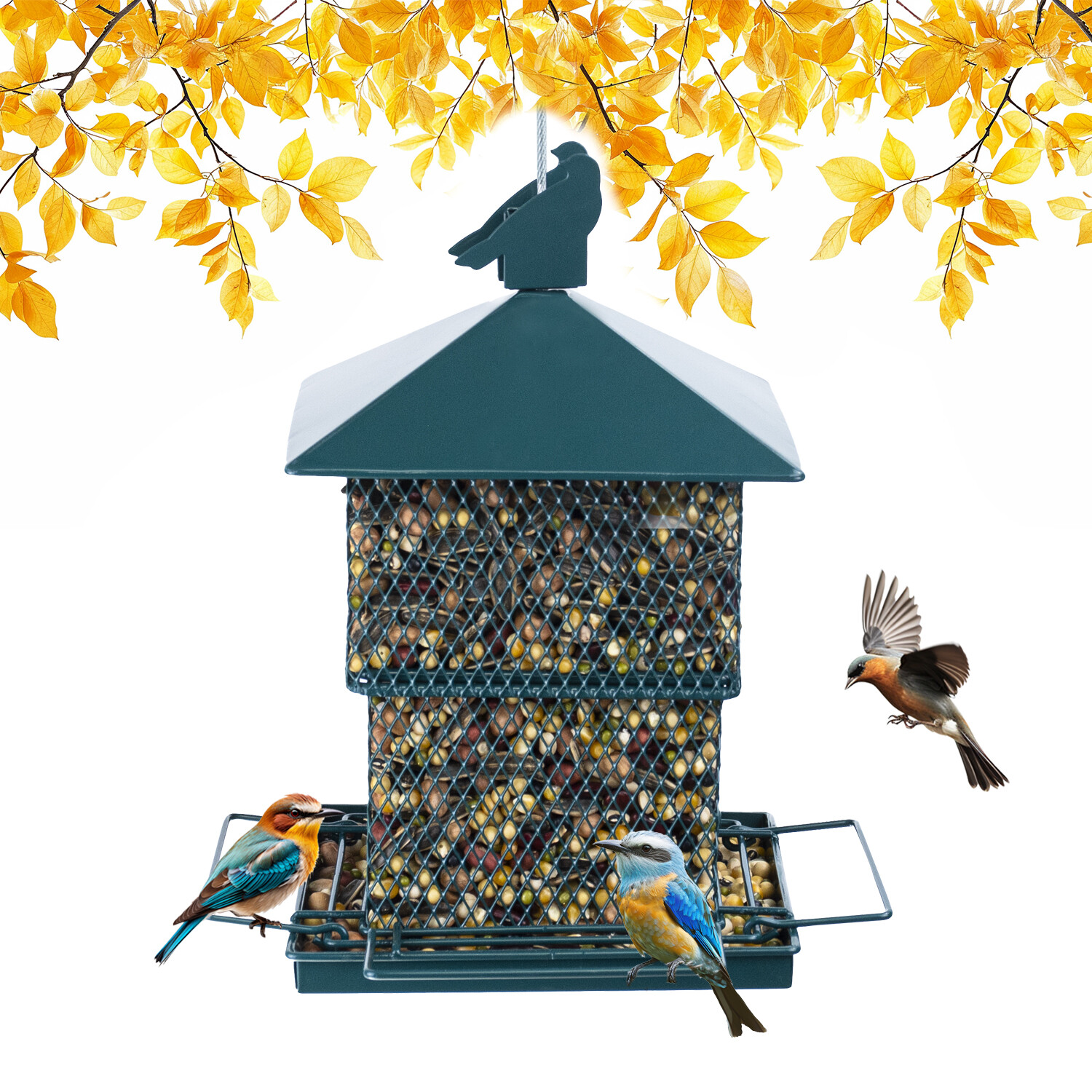 Square bird feeder