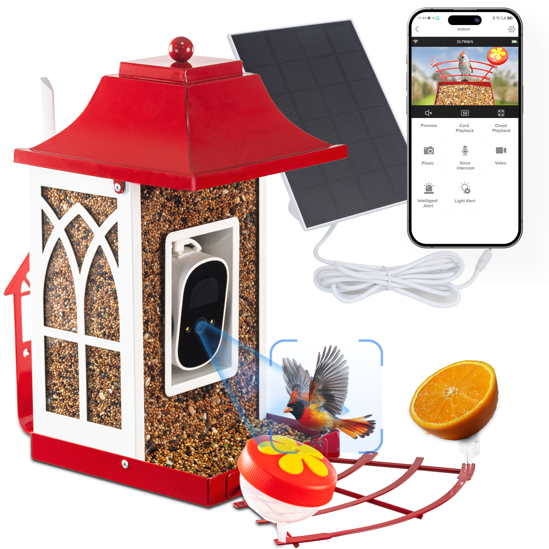 Red smart bird feeder