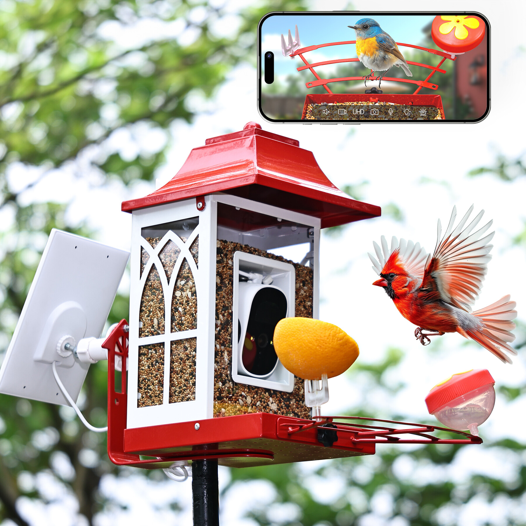 Red smart bird feeder