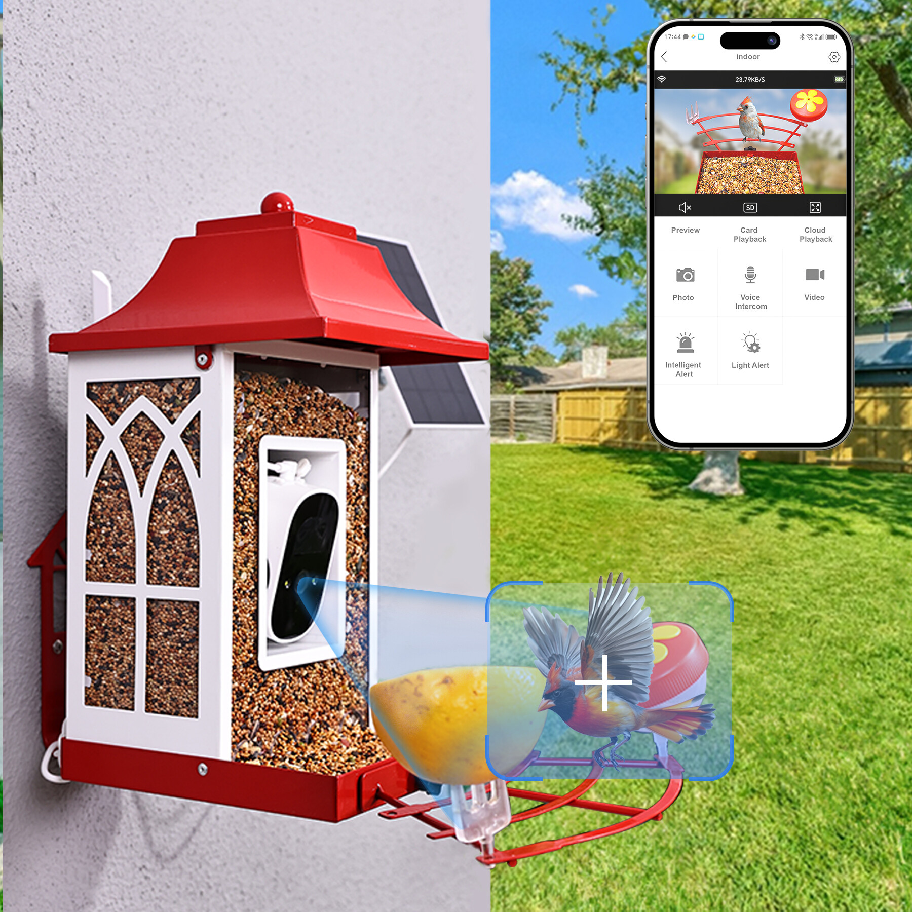 Red smart bird feeder