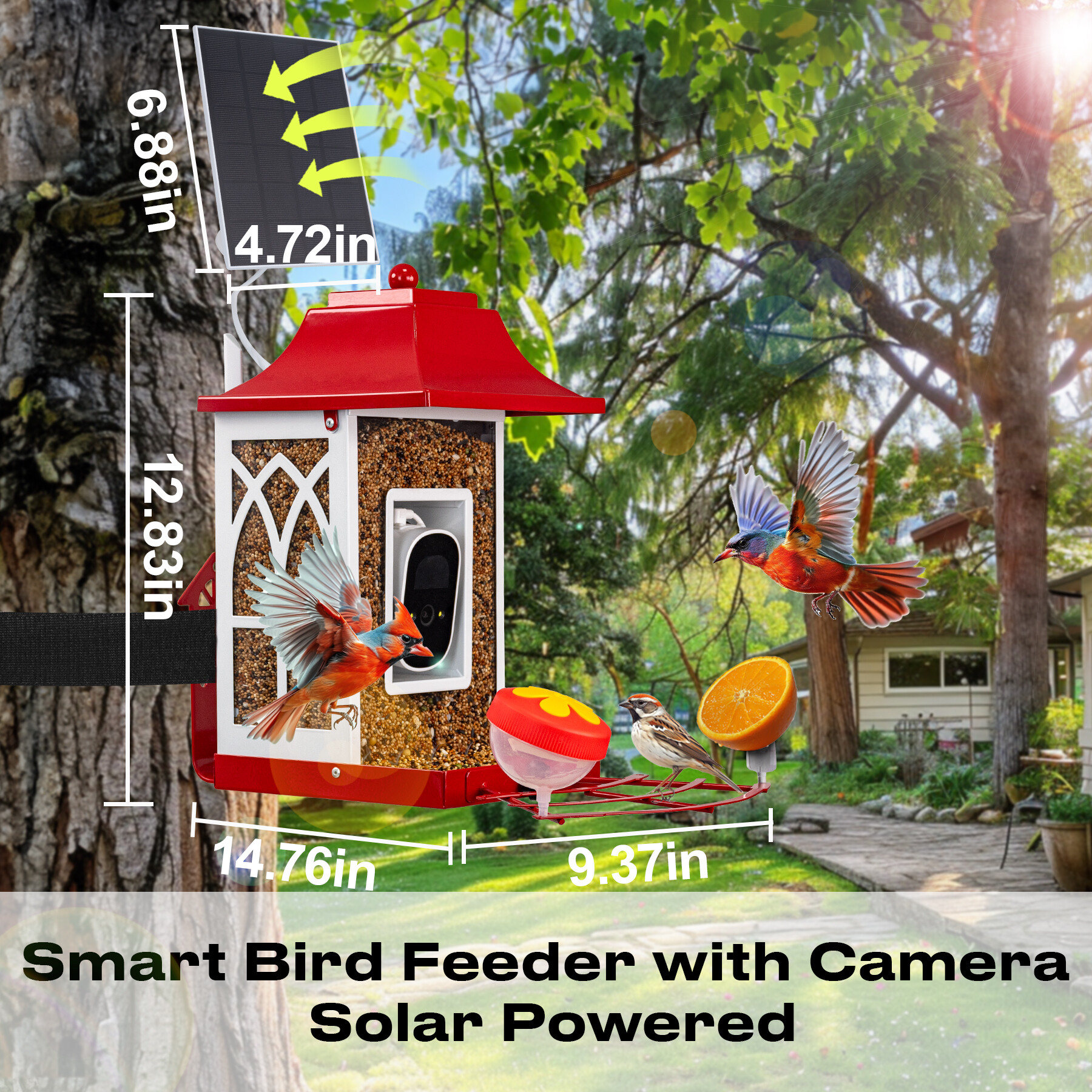 Red smart bird feeder