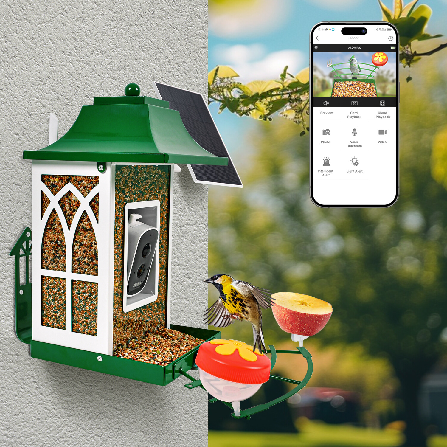 Green smart bird feeder
