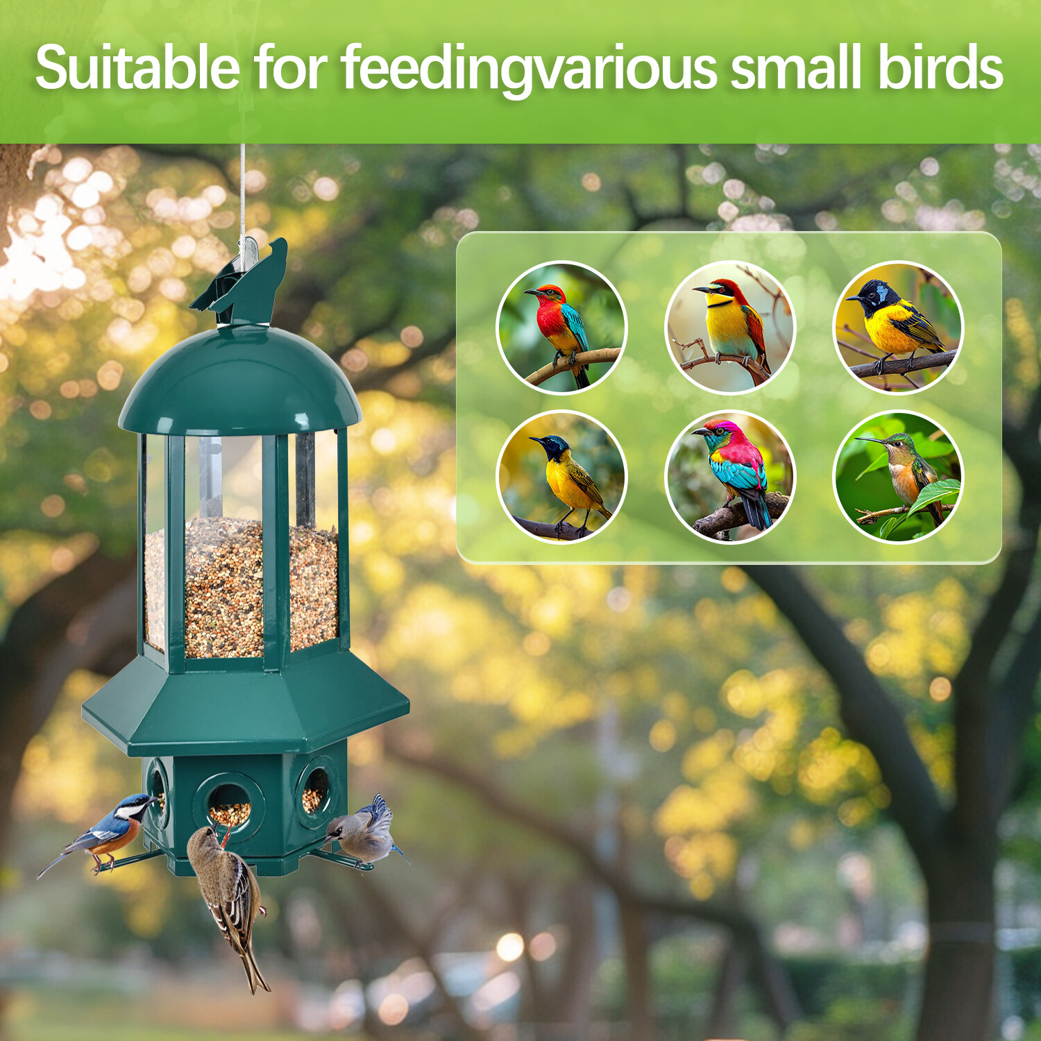 Dark green hexagonal bird feeder