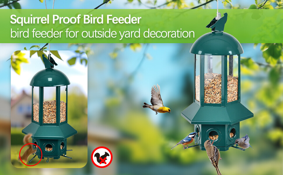 六边形绿色款喂鸟器 a+1.jpg