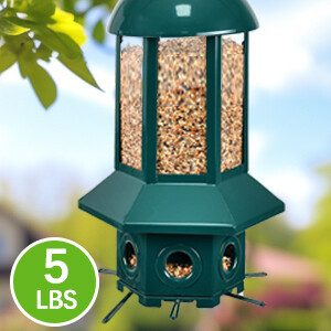 六边形绿色款喂鸟器 a+1.1.jpg