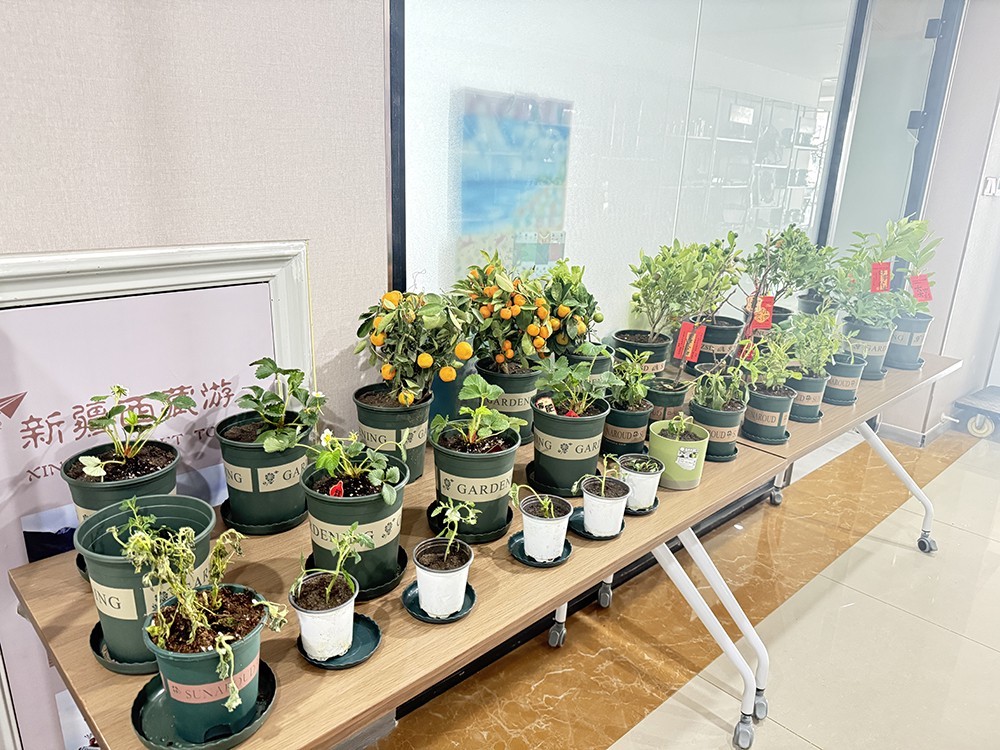 shingchem (1) shingchem (1)