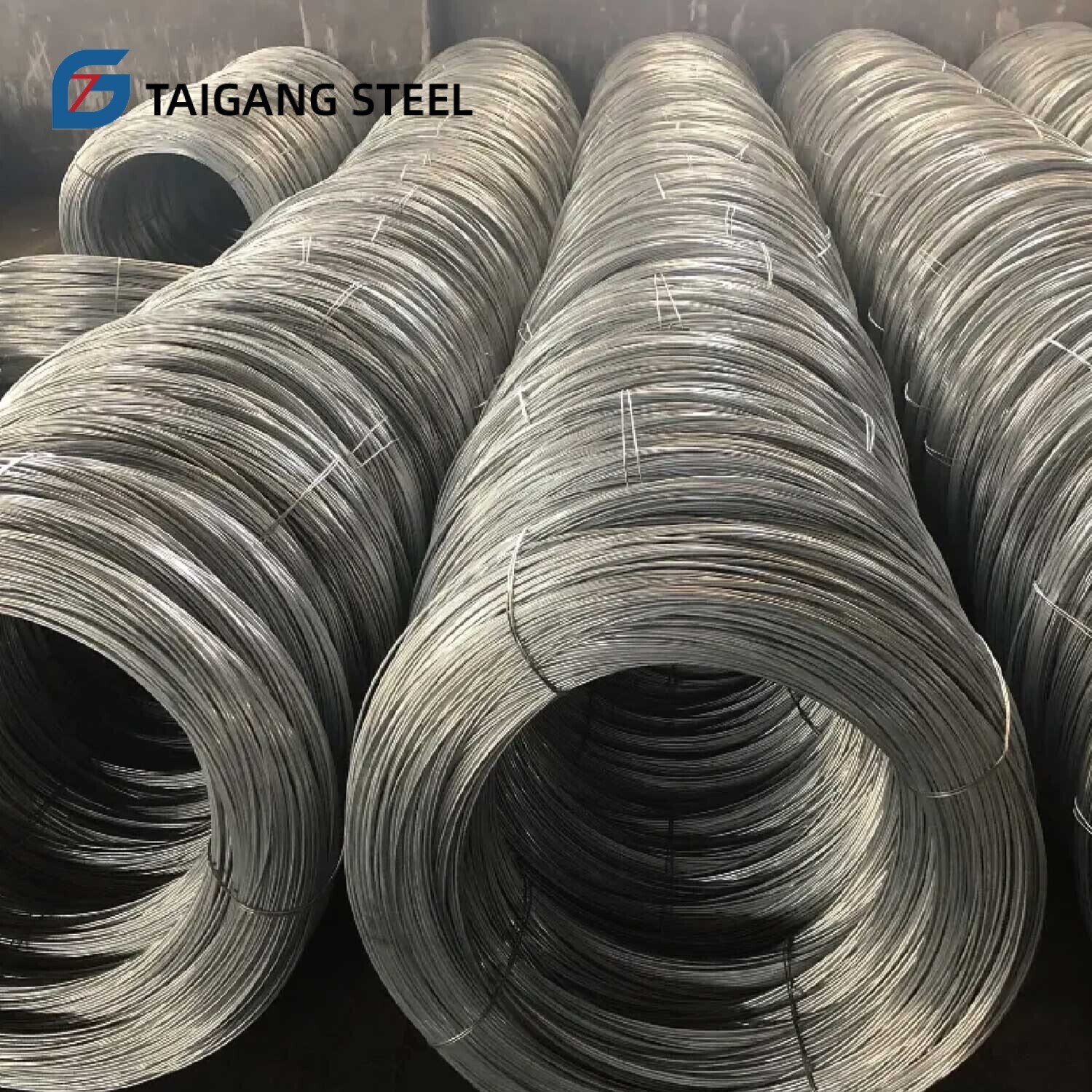 SAE-1008 Steel Wire Rod
