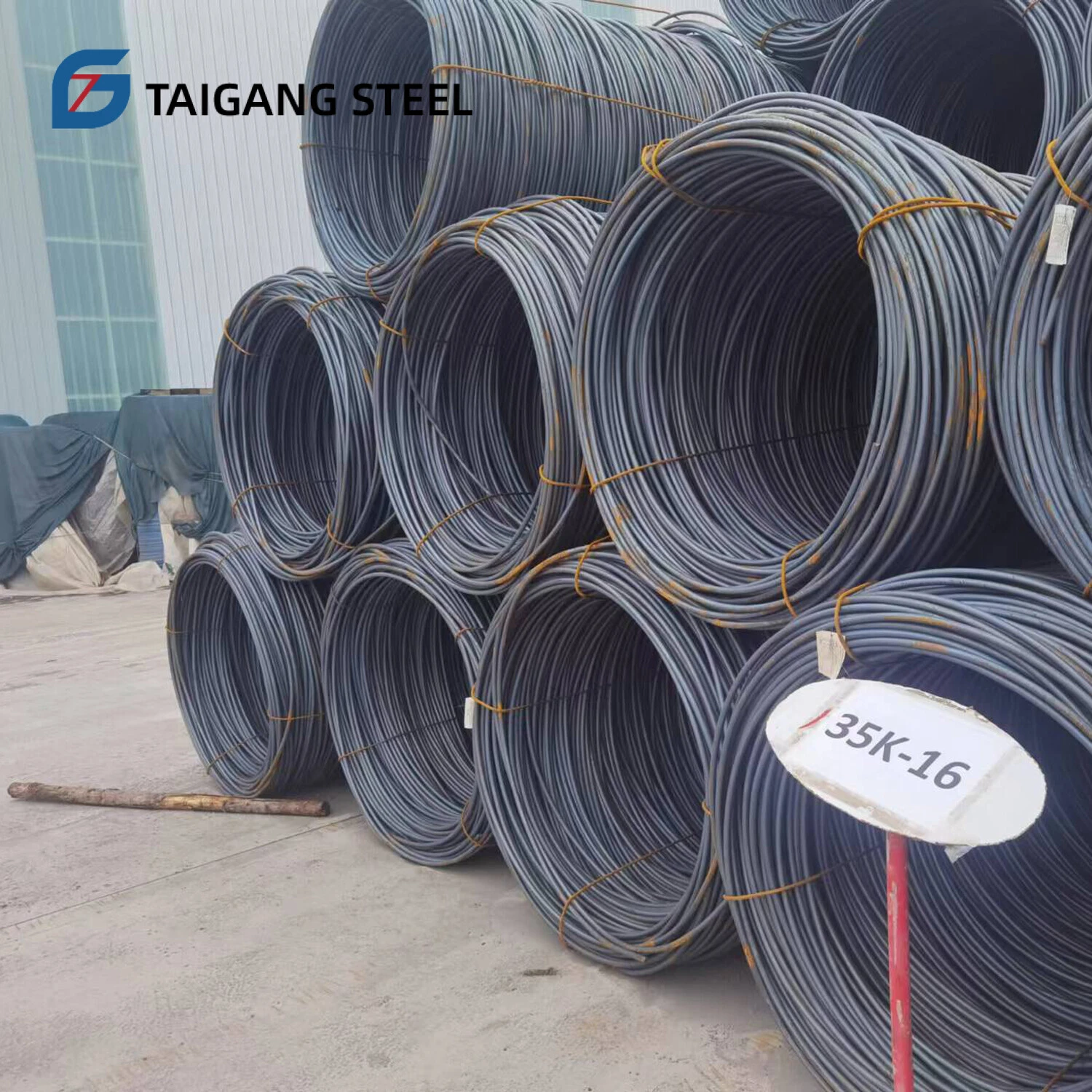 High Carbon Spring Tempering Steel Wire-TAIGANG STEEL GROUP CO.,LTD