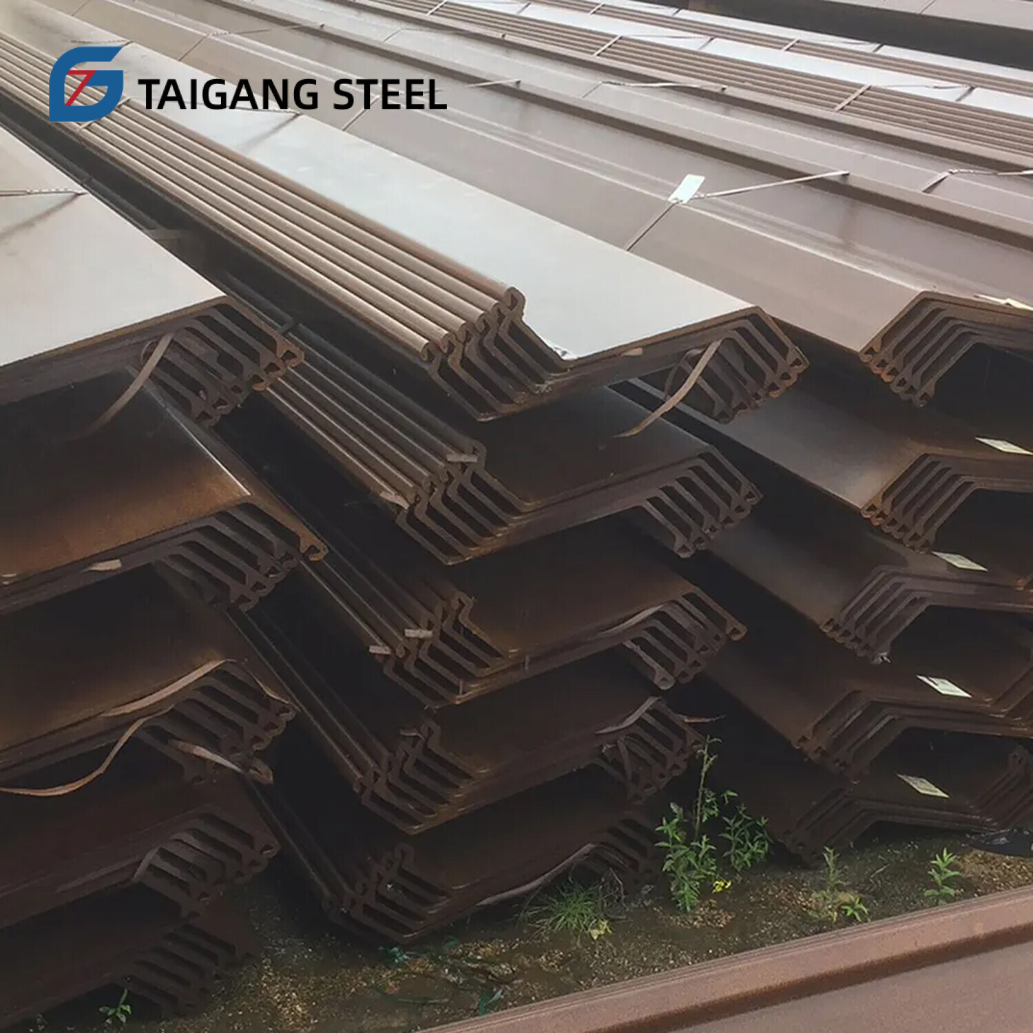 Z Sheet Pile