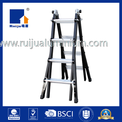 Multi Purpose Ladder