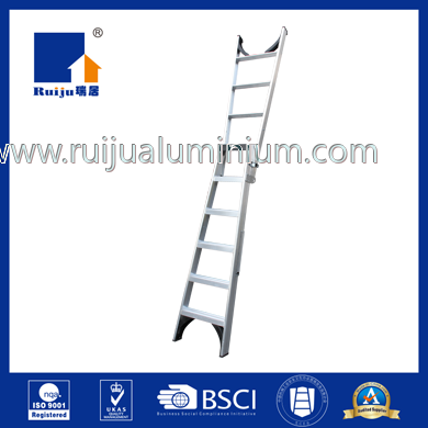 Aluminium Ladder Dual Purpose