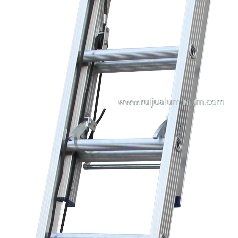 Single Extension Ladder