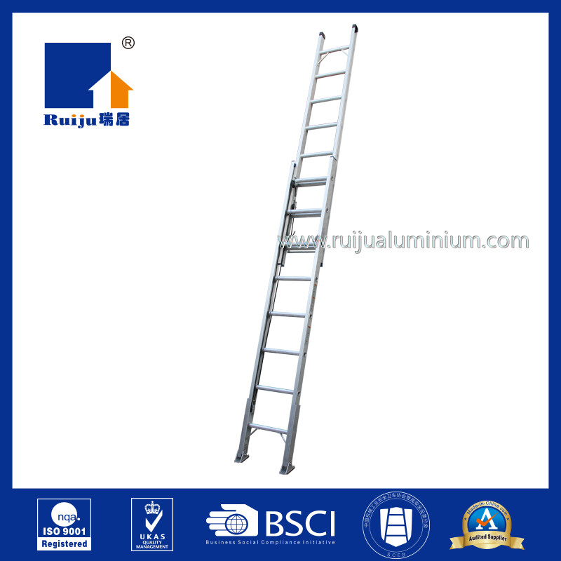 Single Extension Ladder