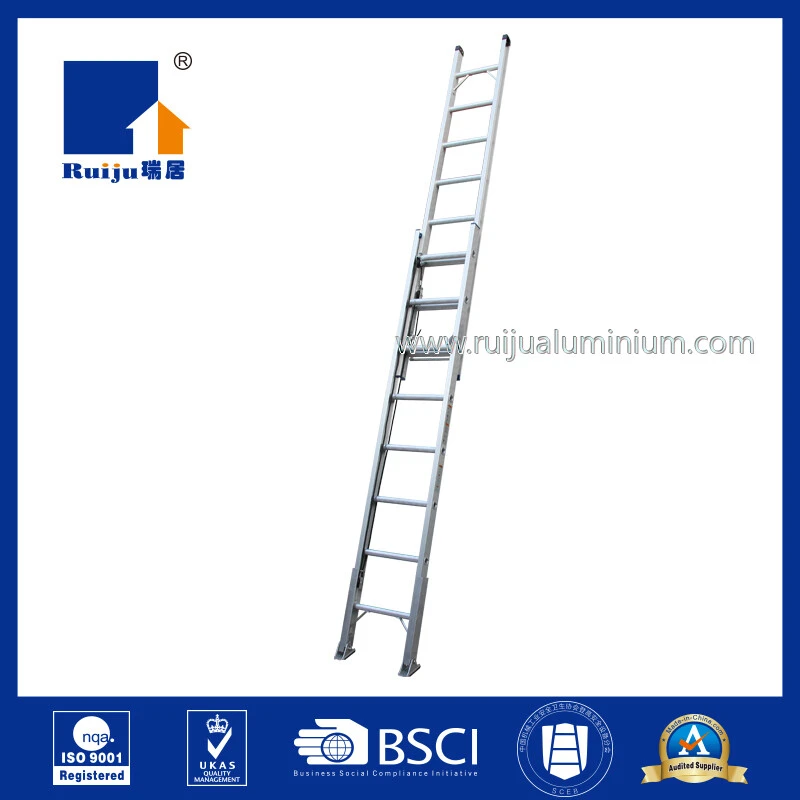 Single Extension Ladder 2