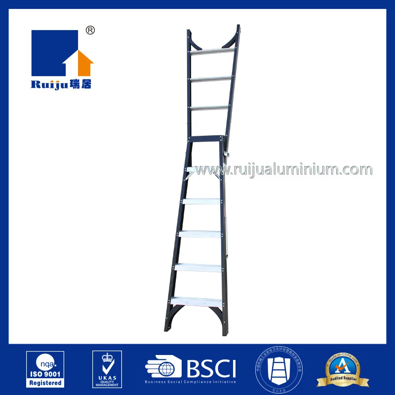 FIberglass Dual Ladder 3
