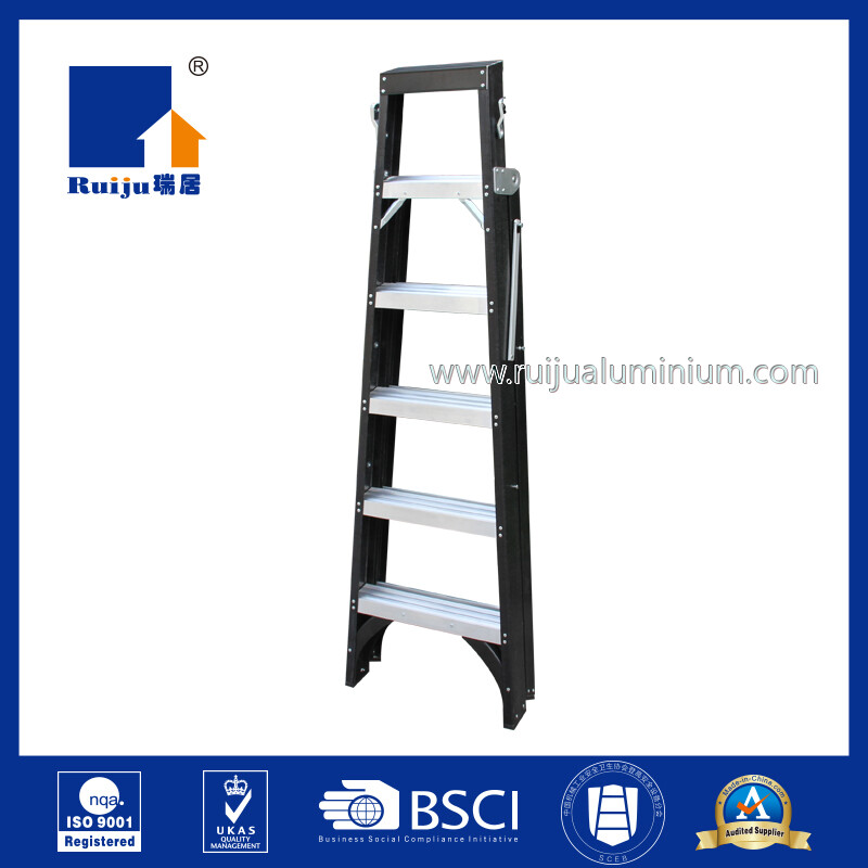 FIberglass  Dual Ladder