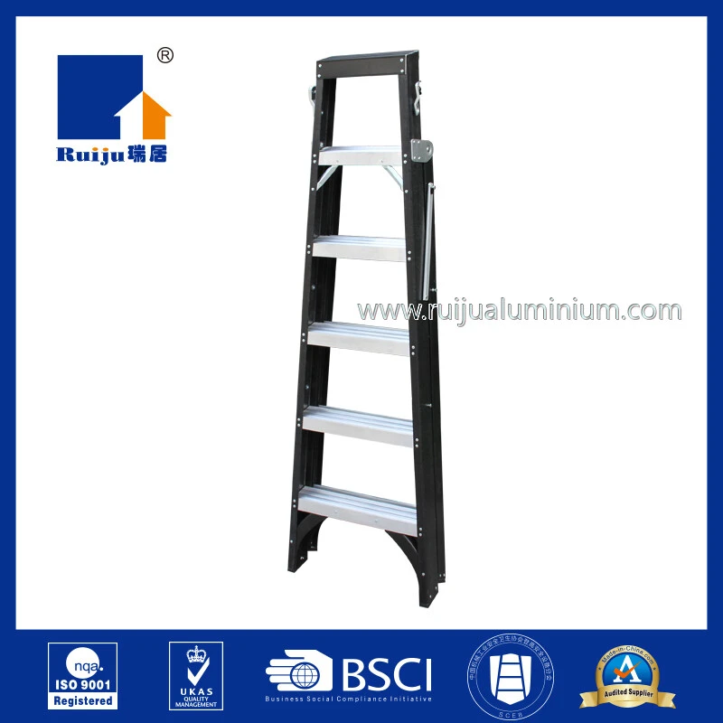 FIberglass Dual Ladder 2