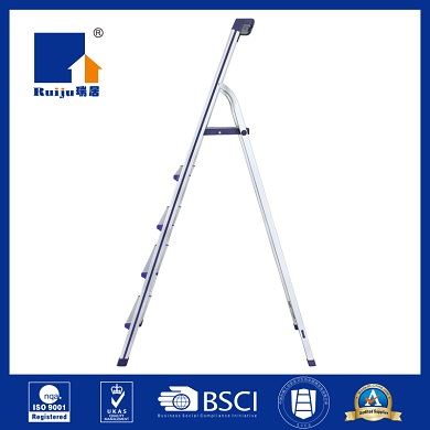 Professional Stepladder