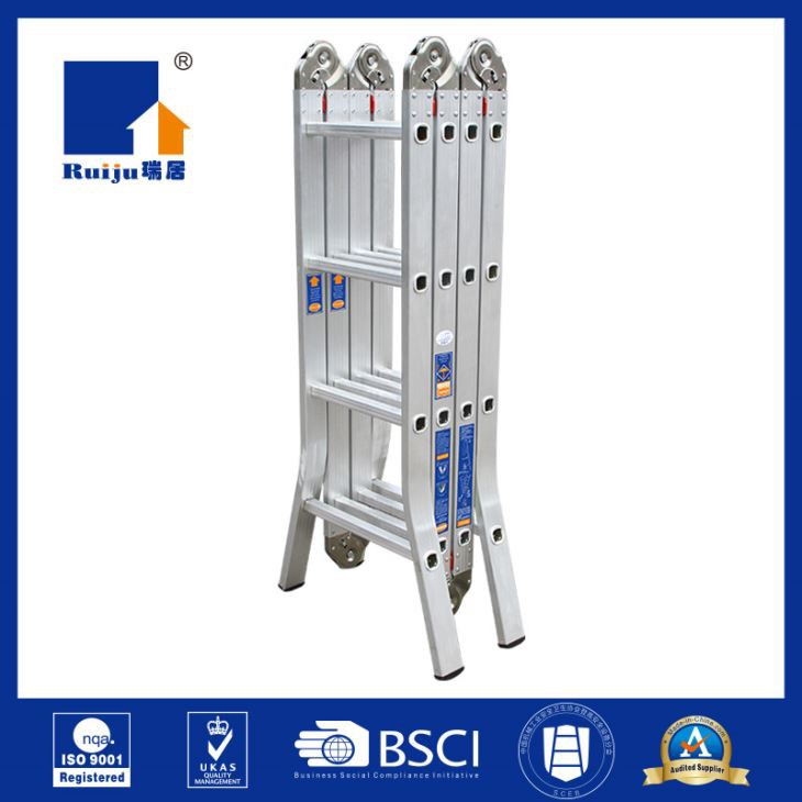 Multi Position Ladder