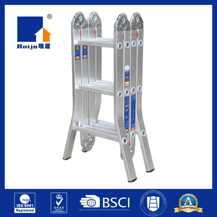 Multi Position Ladder