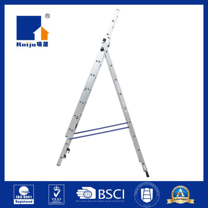 Combination Ladder