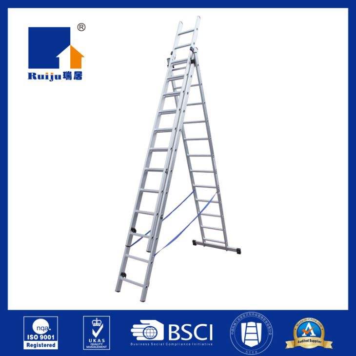 Combination Ladder