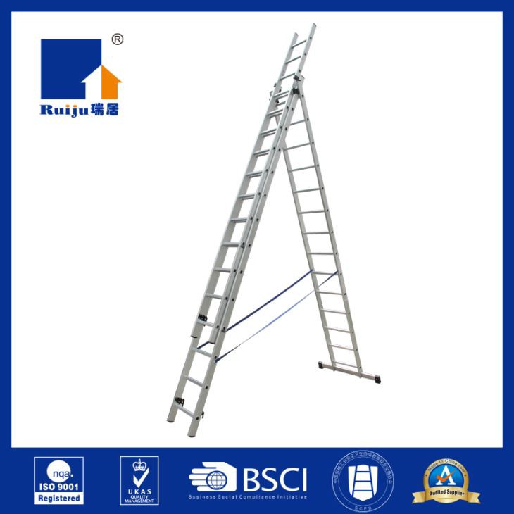 Combination Ladder