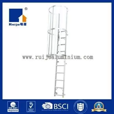 Cage Ladder