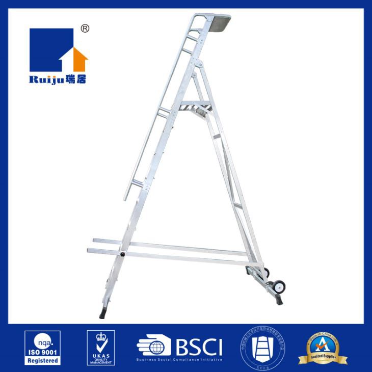 Warehouse Ladder