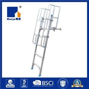 Adjustable Scaffolding Access Ladder