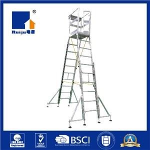 Stair Climbing Working Ladder
