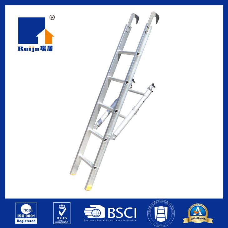 Scaffolding Ladder