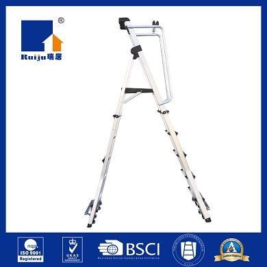 Adjustable Platform Ladder With Handrails