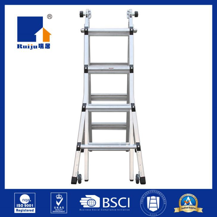 Multi Purpose Ladder