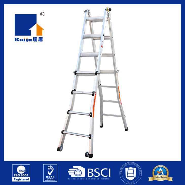 Multi Purpose Ladder
