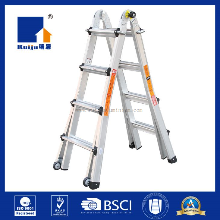 Multi Purpose Ladder