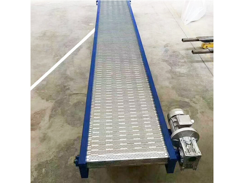 Chain Conveyor