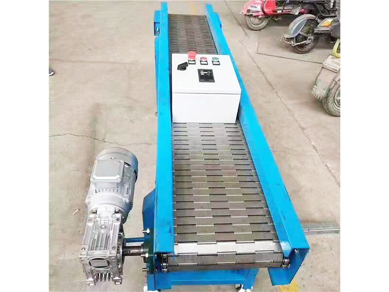 Chain Conveyor