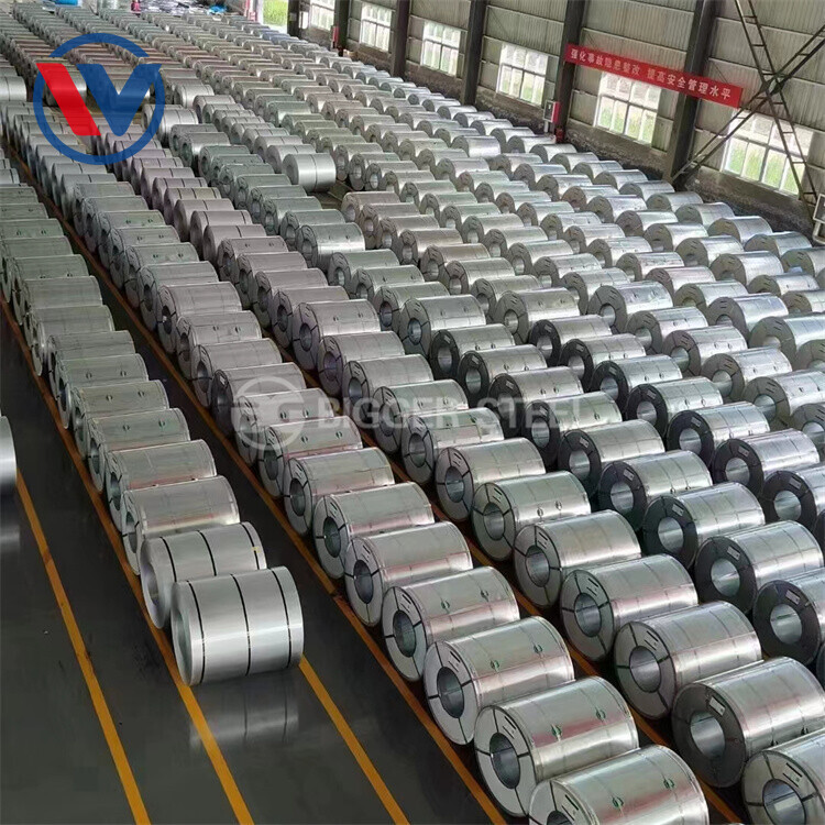 St03Z Galvanized Coil 